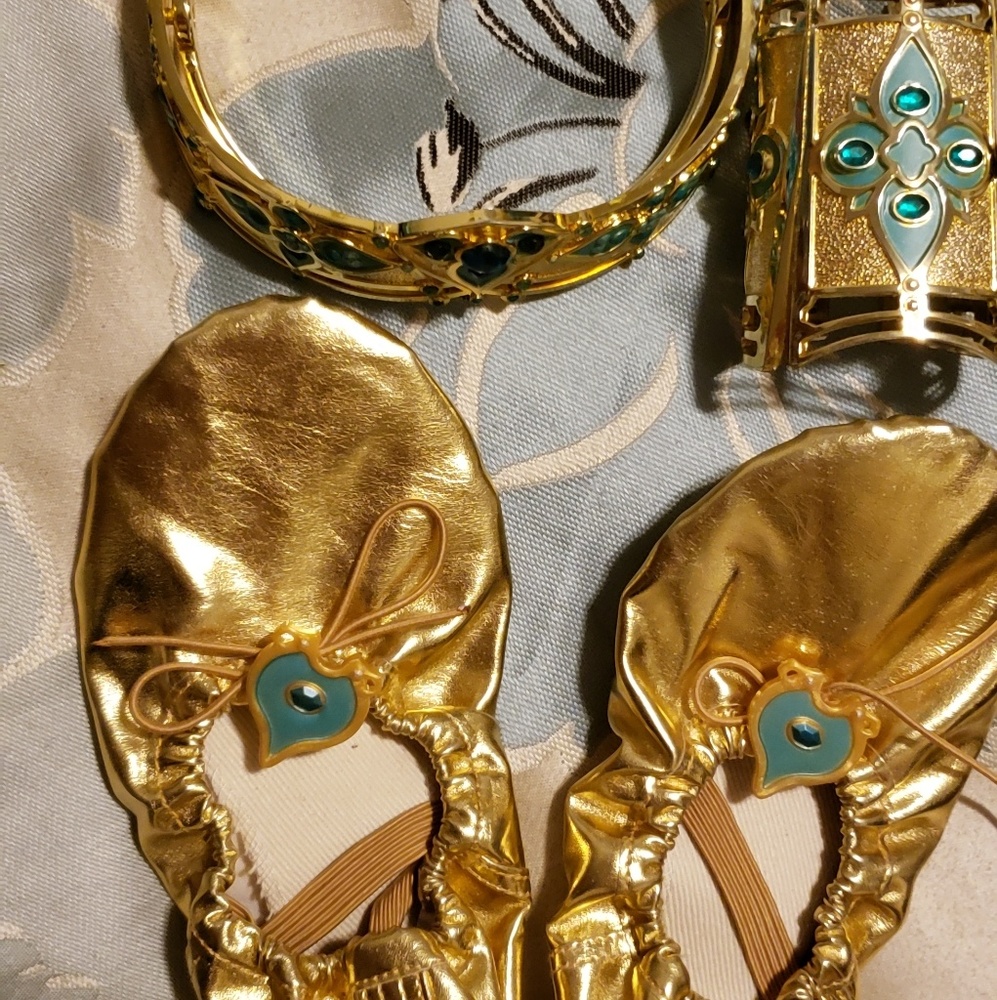 Princess Jasmine Costume Accesories